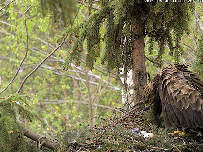 vlcsnap-2012-05-06-18h39m18s45.png