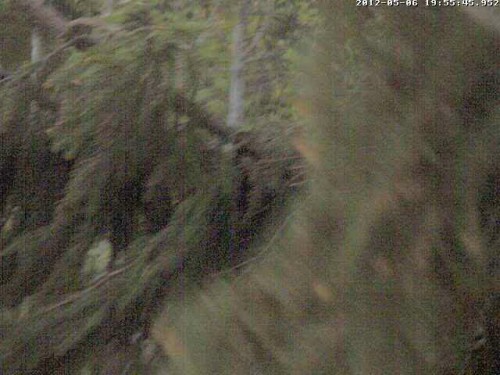 vlcsnap-2012-05-06-19h57m05s240.jpg