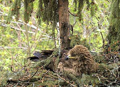 vlcsnap-2012-05-07-10h50m32s147.png
