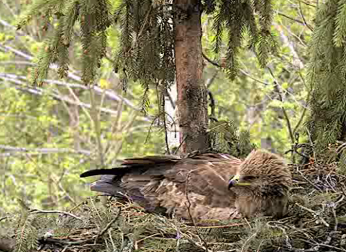 vlcsnap-2012-05-07-15h24m40s158.png