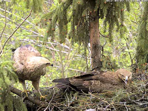 vlcsnap-2012-05-07-15h58m56s247.png