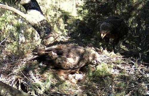tuule 08_05_12 10.41.JPG