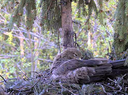 vlcsnap-2012-05-08-19h34m03s98.png