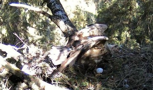 tuule 09_05_12 10.18.JPG