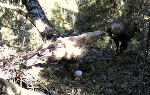 tuule 09_05_12 10.20.JPG