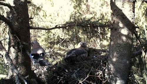vlcsnap-2012-05-09-16h53m51s242.jpg