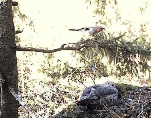 eha 09_05_12 16.51.JPG