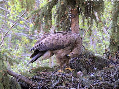 vlcsnap-2012-05-09-20h41m57s93.jpg