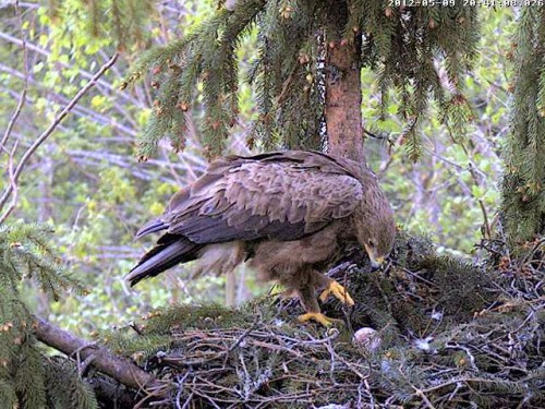 vlcsnap-2012-05-09-20h42m06s185.jpg