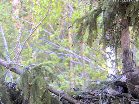 vlcsnap-2012-05-10-19h23m44s81.png