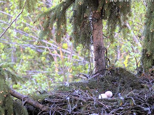 vlcsnap-2012-05-10-19h38m12s249.JPG