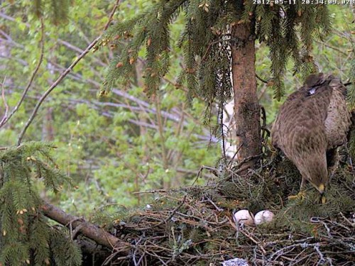 vlcsnap-2012-05-11-20h35m19s89.jpg