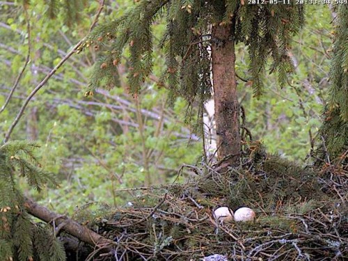 vlcsnap-2012-05-11-20h34m45s12.jpg