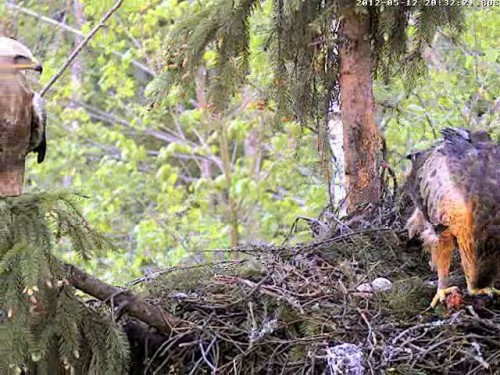 vlcsnap-2012-05-12-20h33m18s56.JPG