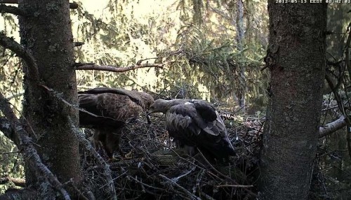 vlcsnap-2012-05-13-08h42m07s127.JPG