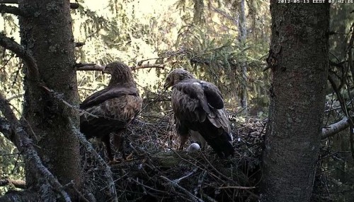 vlcsnap-2012-05-13-08h42m20s1.JPG