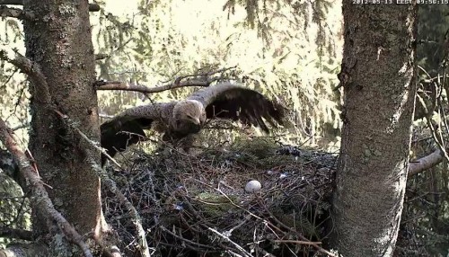vlcsnap-2012-05-13-09h56m19s102.JPG