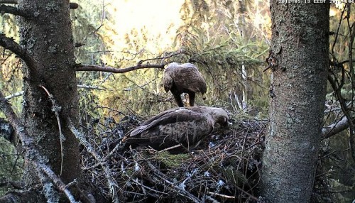 vlcsnap-2012-05-13-20h34m11s100.JPG