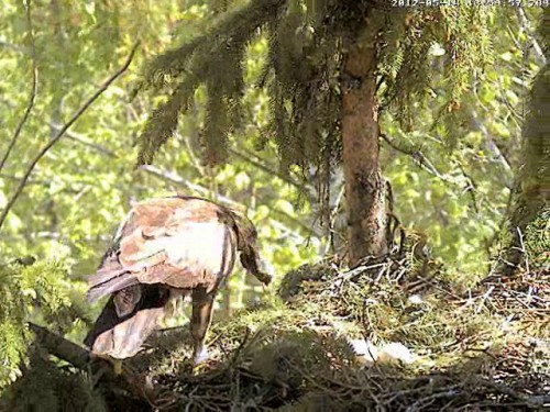 vlcsnap-2012-05-14-14h00m59s194.jpg