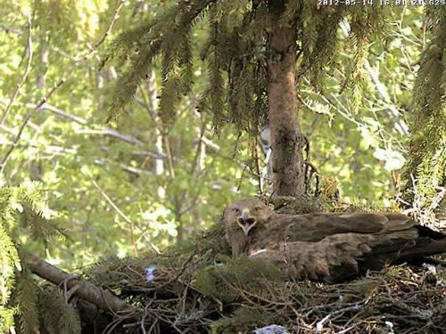 vlcsnap-2012-05-14-16h02m28s125.jpg