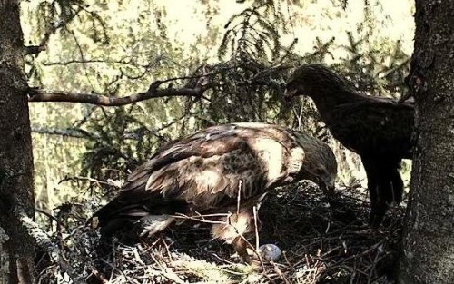 eha 15_05_12 12.47.JPG