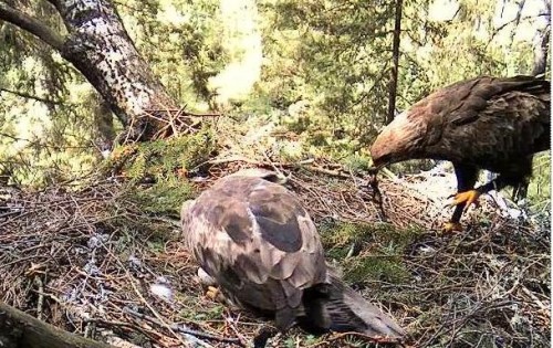 tuule 15_05_12 14.35.JPG