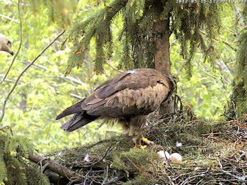 vlcsnap-2012-05-15-20h15m21s96.jpg