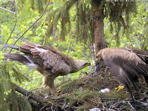 vlcsnap-2012-05-17-07h52m13s122.jpg