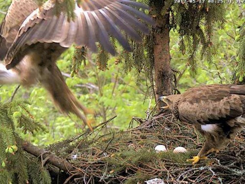 vlcsnap-2012-05-17-08h26m43s156.jpg
