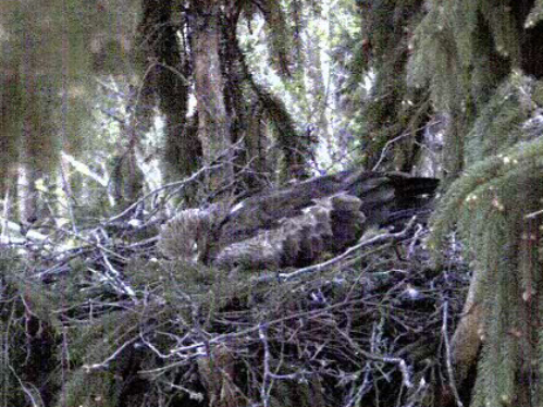 vlcsnap-2011-05-09-21h47m02s254.png