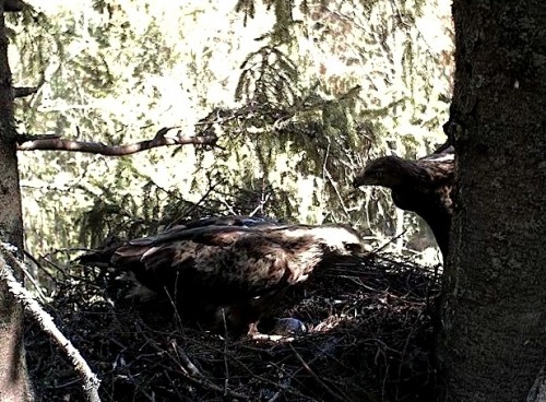 Eha_19_05_12_1.jpg