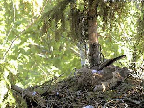 vlcsnap-2012-05-20-16h06m40s184.png