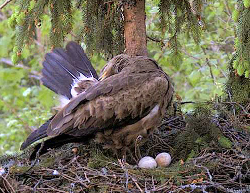 vlcsnap-2012-05-20-20h52m16s188.png