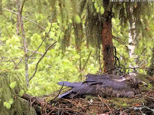 vlcsnap-2012-05-21-08h23m39s61.jpg