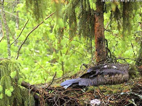 vlcsnap-2012-05-22-08h31m22s254.jpg