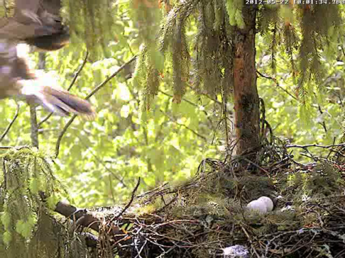vlcsnap-2012-05-22-10h03m01s171.png