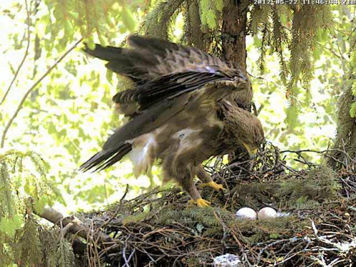 vlcsnap-2012-05-22-11h48m13s56.png
