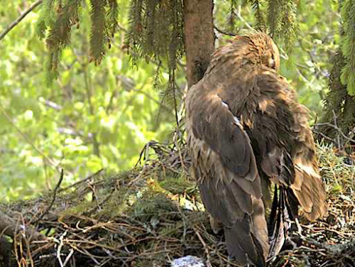 vlcsnap-2012-05-22-13h18m55s210.png