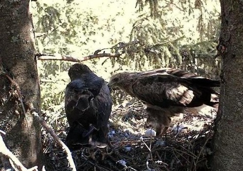 eha 25_05_12 10.19.JPG