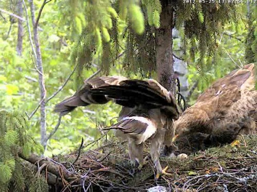 vlcsnap-2012-05-25-13h09m17s33.jpg