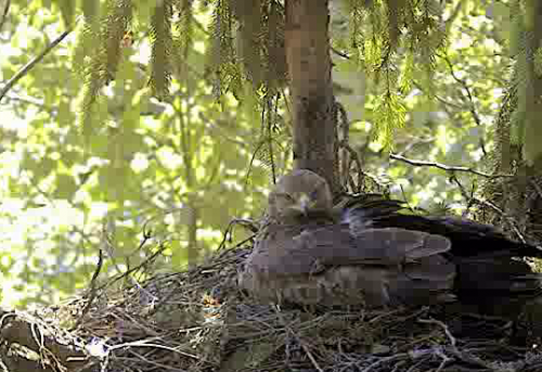 vlcsnap-2012-05-27-10h24m55s222.png
