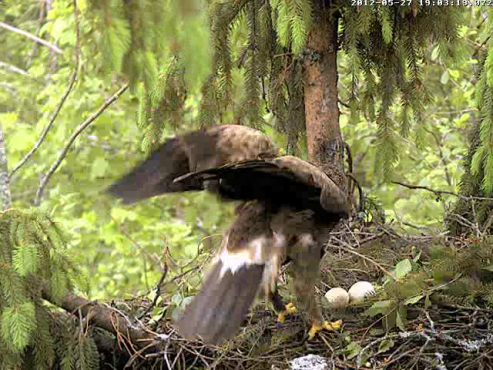 vlcsnap-2012-05-27-19h04m35s60.png