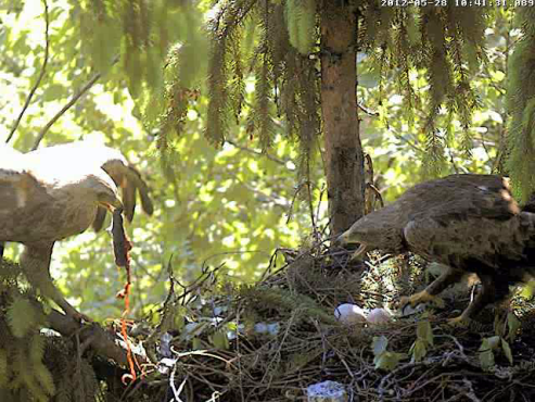 vlcsnap-2012-05-28-10h47m32s209.png