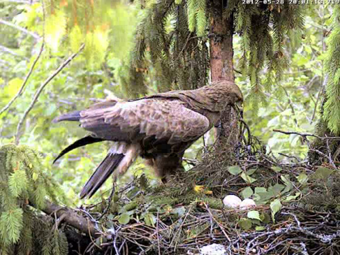 vlcsnap-2012-05-28-20h02m30s53.png