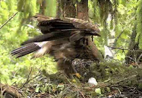 vlcsnap-2012-05-29-16h58m02s51.png