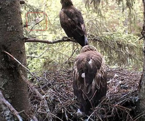 eha 31_05_12 11.40.JPG