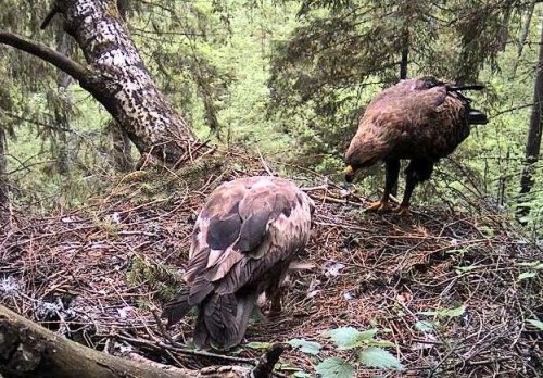 tuule 01.06.12 15.31.JPG