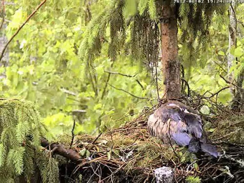 vlcsnap-2012-06-02-19h25m59s35.jpg