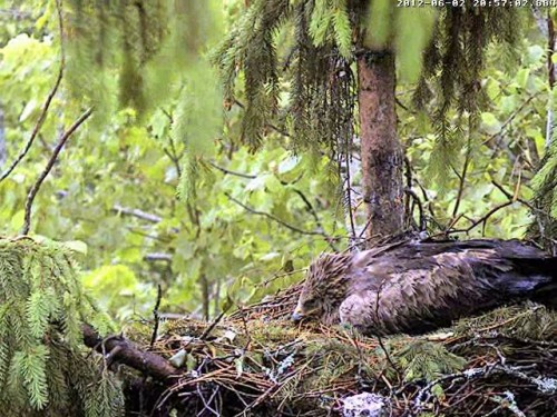 vlcsnap-2012-06-02-20h58m33s30.jpg
