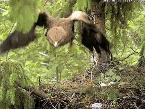 vlcsnap-2012-06-04-15h19m34s202.jpg